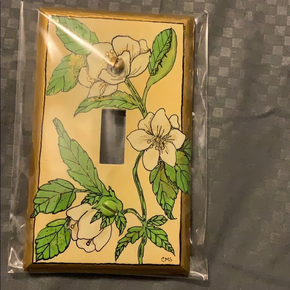 Hand painted light switch cover